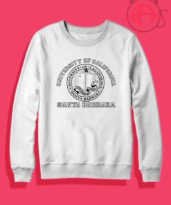 University Of California Santa Barbara