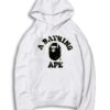 A Bathing Ape Camo2