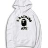 A Bathing Ape Camo Hoodie