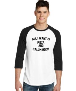 All I Want Is Pizza And Calum Hood Sleeve Raglan Tee