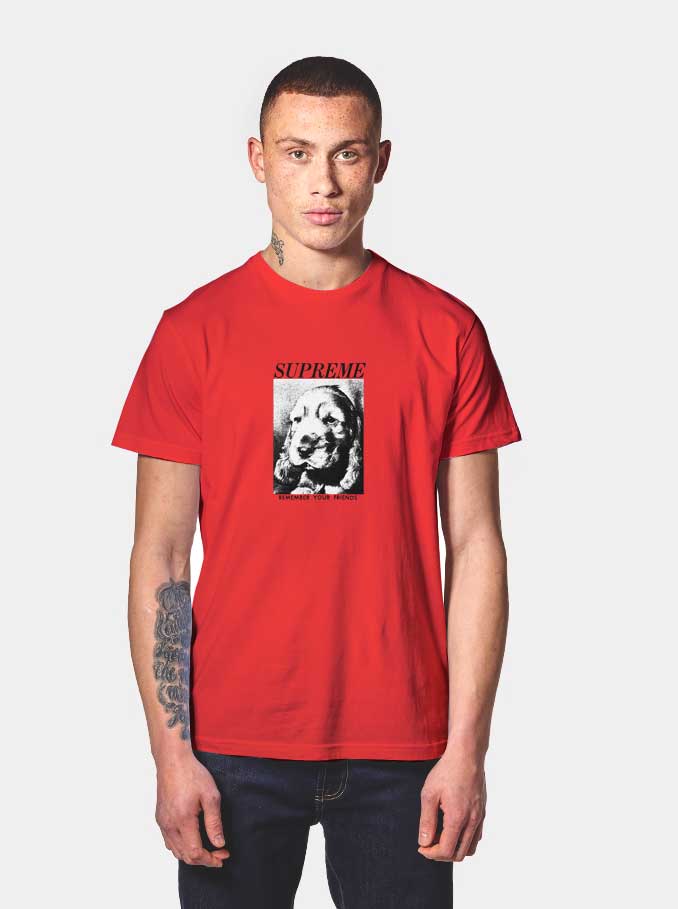 supreme gza shirt
