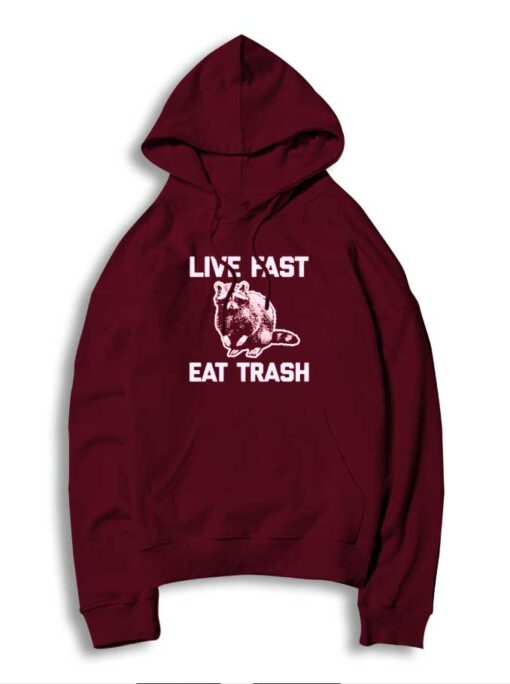 Live Fast Eat Trash Panda Racoon Hoodie