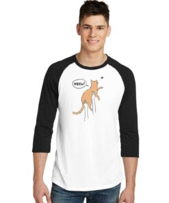 Meow Hunter Cat And Spider Raglan Tee