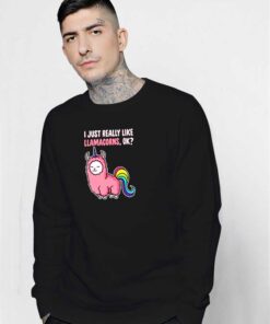 I Just Really Like Llamacorns Sweatshirt
